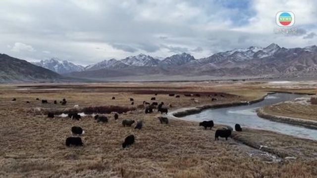 無綫新聞 TVB News