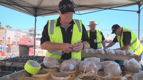 澳洲警方加派警力　為墨爾本除夕慶祝活動提供最嚴密保安