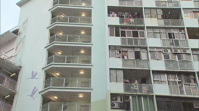 無綫新聞 TVB News