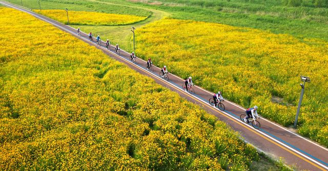 無綫新聞 TVB News 無綫新聞 TVB News