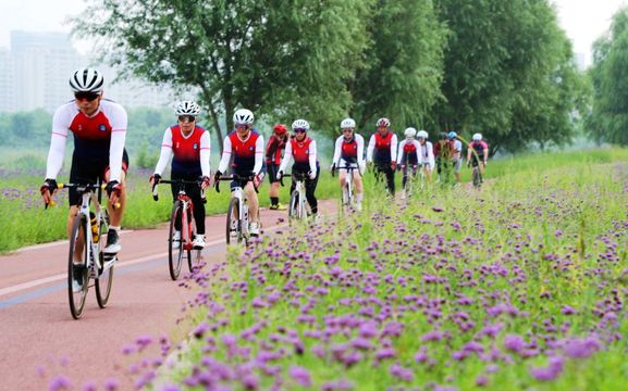 無綫新聞 TVB News 無綫新聞 TVB News