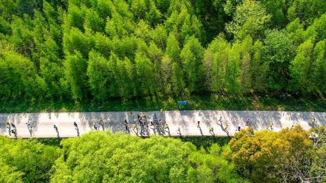 無綫新聞 TVB News 無綫新聞 TVB News