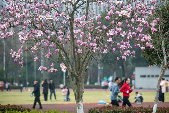 無綫新聞 TVB News