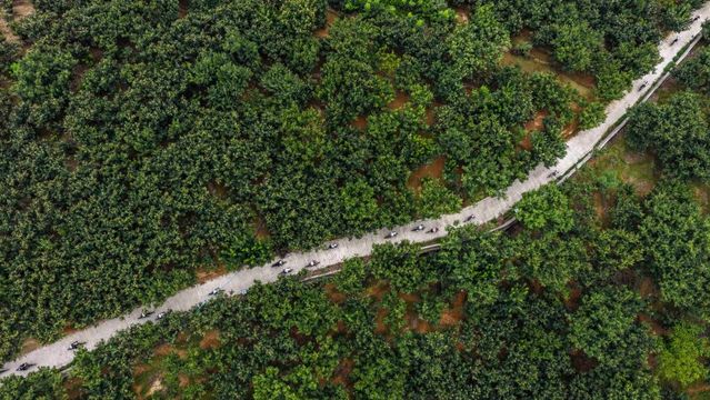 無綫新聞 TVB News