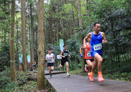 無綫新聞 TVB News