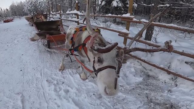 無綫新聞 TVB News