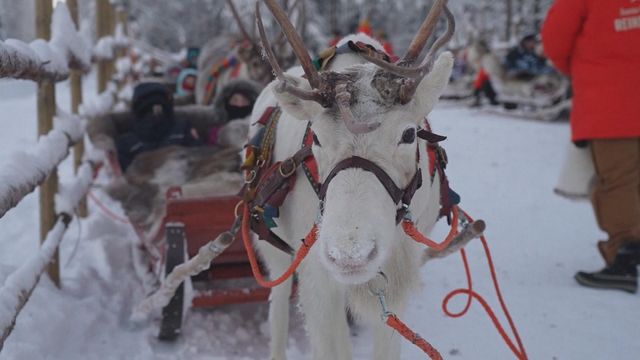 無綫新聞 TVB News