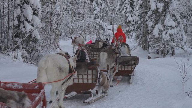 無綫新聞 TVB News