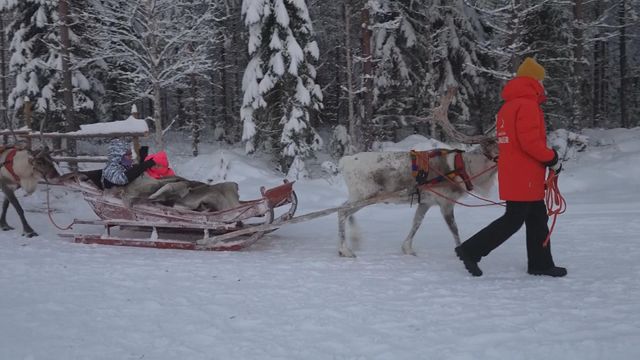 無綫新聞 TVB News