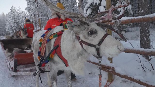 無綫新聞 TVB News