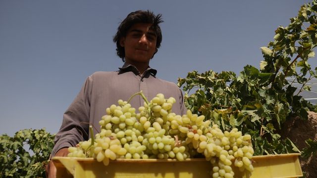 世界萬象｜全球跨年習俗大不同　從吃提子到拖喼迎新｜2026‧延伸閱讀