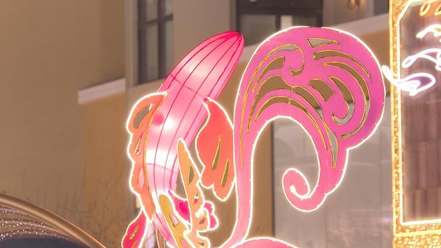 無綫新聞 TVB News