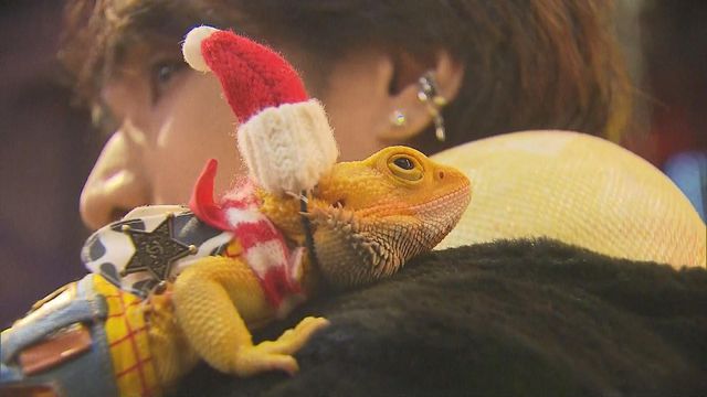 無綫新聞 TVB News