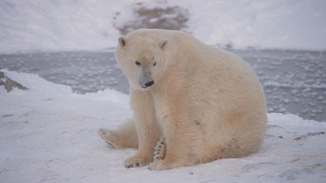 無綫新聞 TVB News