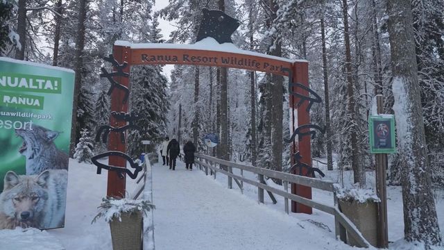 無綫新聞 TVB News