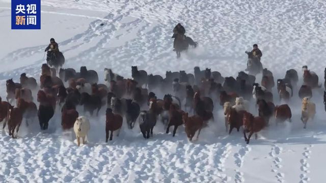 無綫新聞 TVB News