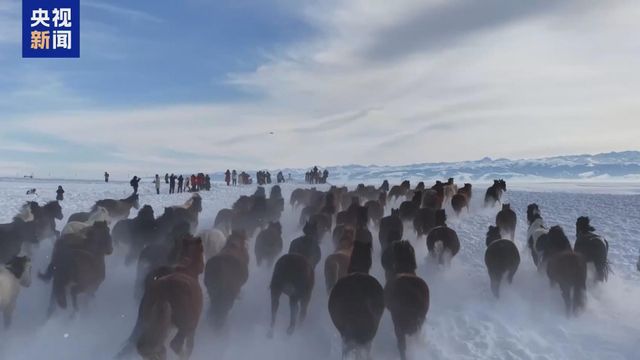 無綫新聞 TVB News