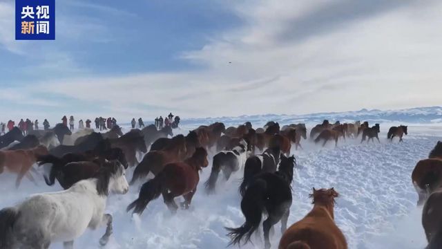 無綫新聞 TVB News