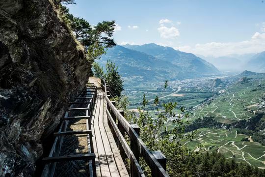 無綫新聞 TVB News