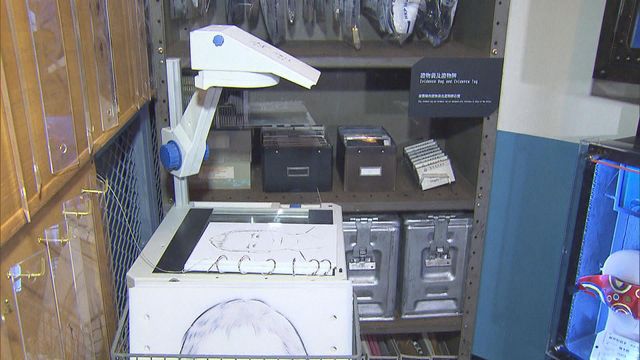 無綫新聞 TVB News