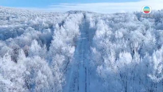 無綫新聞 TVB News