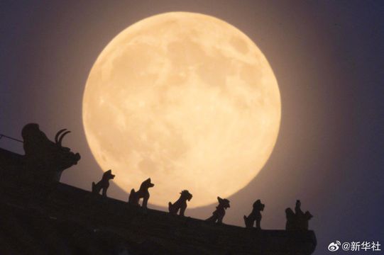 明月照人間｜專家分享「超級月亮」賞拍攻略