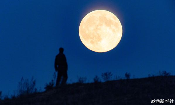 無綫新聞 TVB News