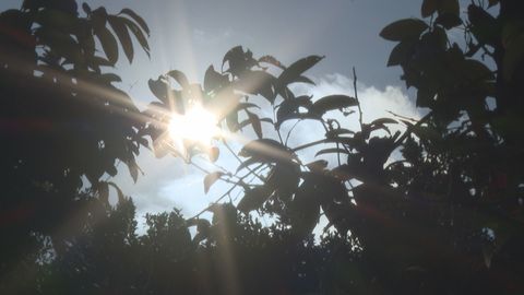 新聞透視‧延伸閱讀｜創傷後遺症：成因、診斷與共病情況