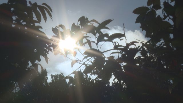 新聞透視‧延伸閱讀｜創傷後遺症：成因、診斷與共病情況