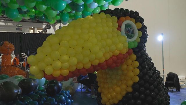 無綫新聞 TVB News 無綫新聞 TVB News