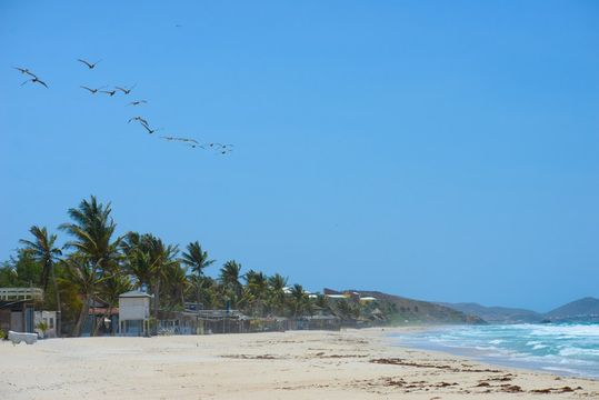 無綫新聞 TVB News