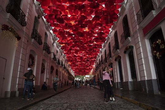 無綫新聞 TVB News