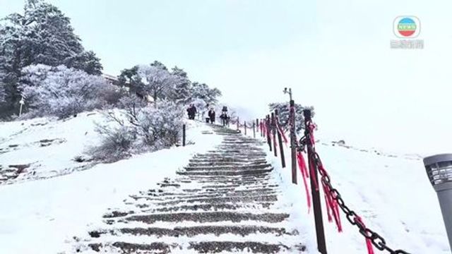 無綫新聞 TVB News