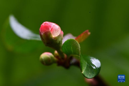 無綫新聞 TVB News 無綫新聞 TVB News