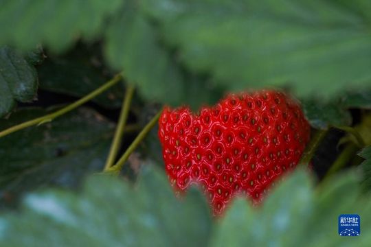 無綫新聞 TVB News 無綫新聞 TVB News