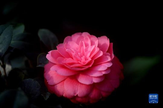 無綫新聞 TVB News 無綫新聞 TVB News