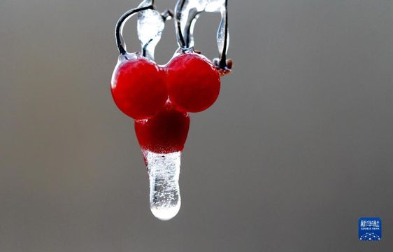 無綫新聞 TVB News 無綫新聞 TVB News