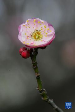 無綫新聞 TVB News 無綫新聞 TVB News