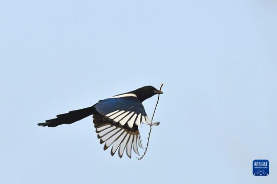 無綫新聞 TVB News 無綫新聞 TVB News