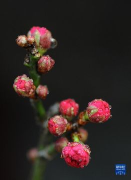 無綫新聞 TVB News 無綫新聞 TVB News