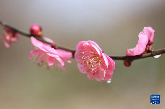 無綫新聞 TVB News 無綫新聞 TVB News