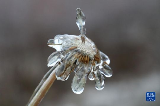 無綫新聞 TVB News 無綫新聞 TVB News