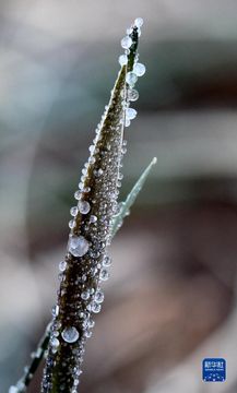 無綫新聞 TVB News 無綫新聞 TVB News