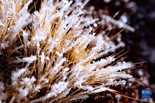 無綫新聞 TVB News 無綫新聞 TVB News