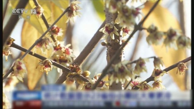 無綫新聞 TVB News 無綫新聞 TVB News