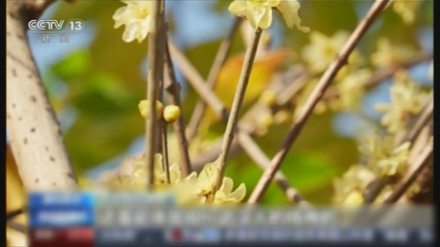 無綫新聞 TVB News 無綫新聞 TVB News