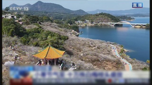 無綫新聞 TVB News 無綫新聞 TVB News