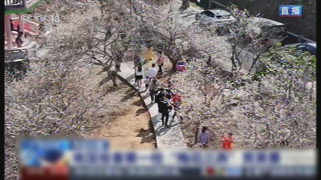 無綫新聞 TVB News 無綫新聞 TVB News