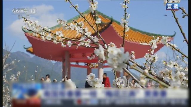 無綫新聞 TVB News 無綫新聞 TVB News