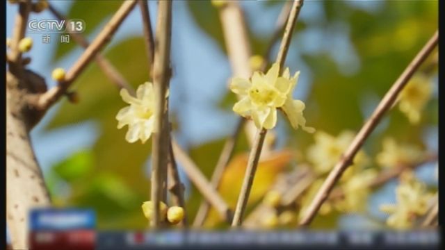 無綫新聞 TVB News 無綫新聞 TVB News